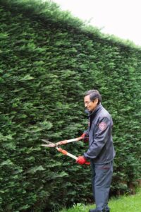 mantenimiento de jardines grupo aba
